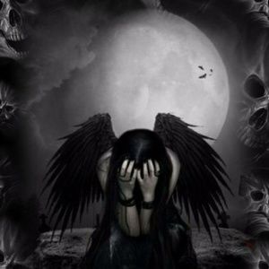 Meet your Posher, Harley